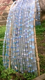 Agri-Recycled water bottle greenhouse