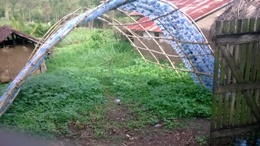 Agri-Recycled water bottle greenhouse